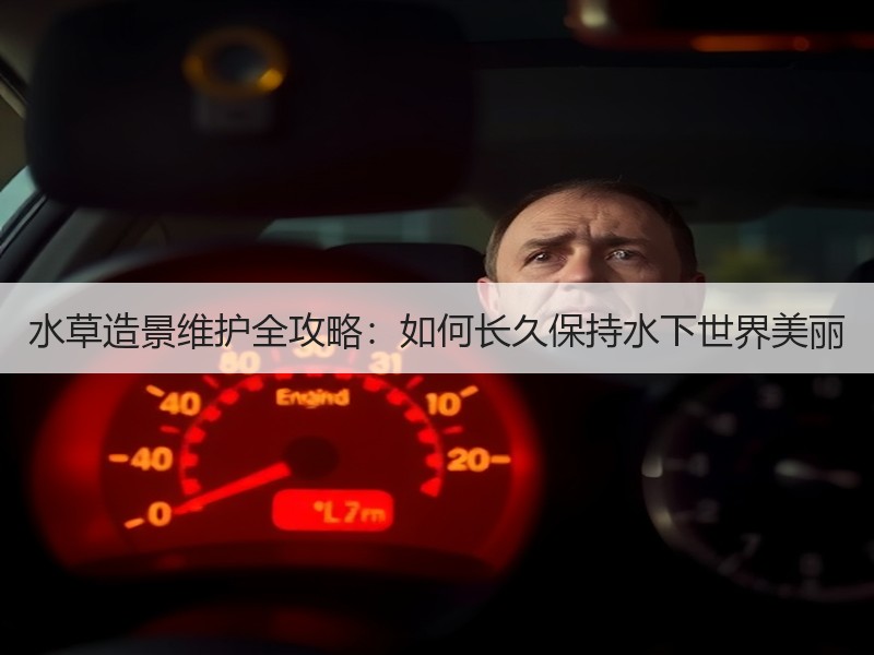 水草造景维护全攻略：如何长久保持水下世界