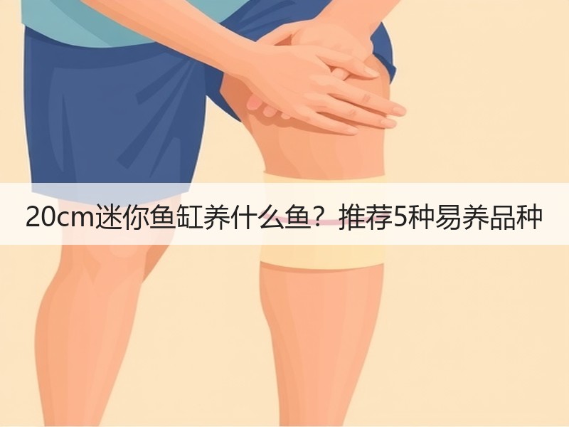20cm迷你鱼缸养什么鱼？推荐5种易养品