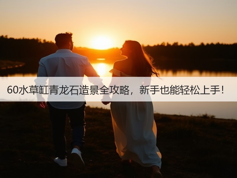 60水草缸青龙石造景全攻略，新手也能轻松