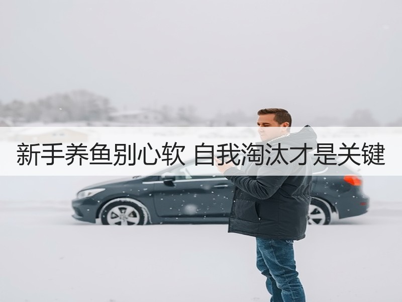新手养鱼别心软 自我淘汰才是关键
