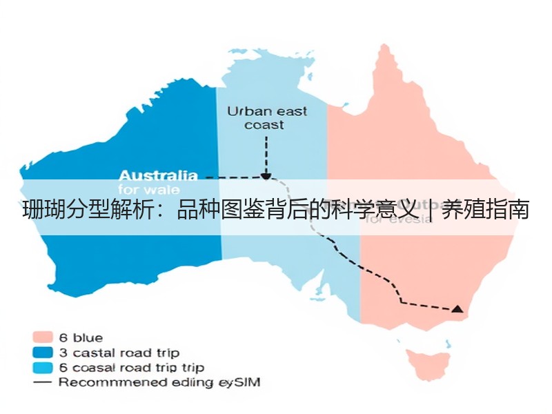 珊瑚分型解析：品种图鉴背后的科学意义｜养