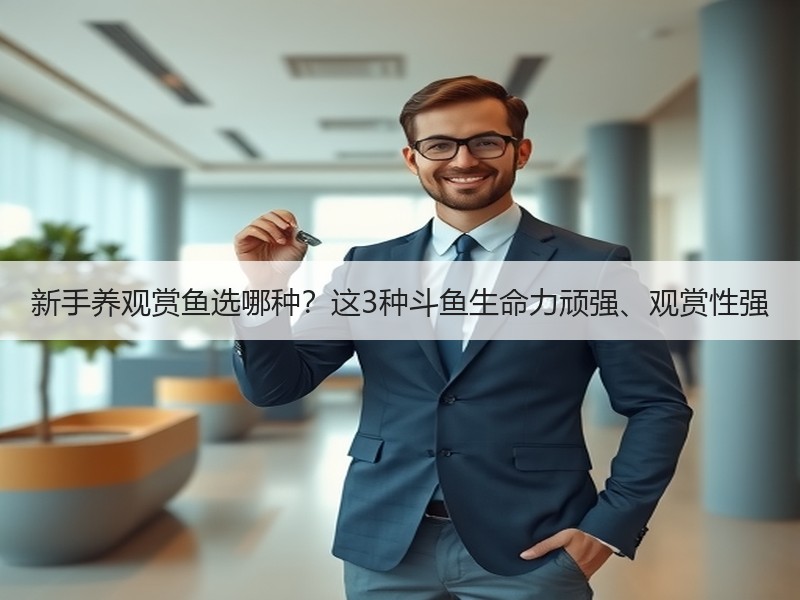 新手养观赏鱼选哪种？这3种斗鱼生命力顽强