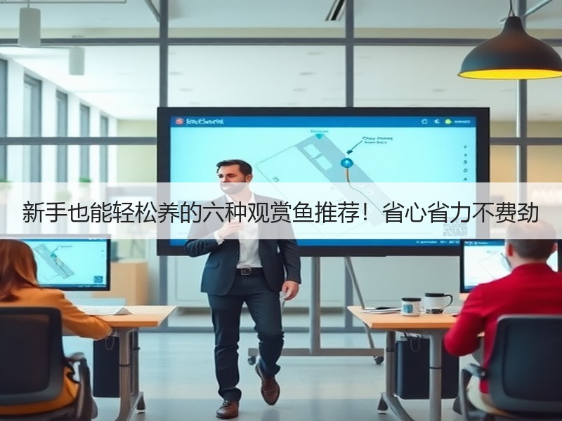 新手也能轻松养的六种观赏鱼推荐！省心省力不费劲