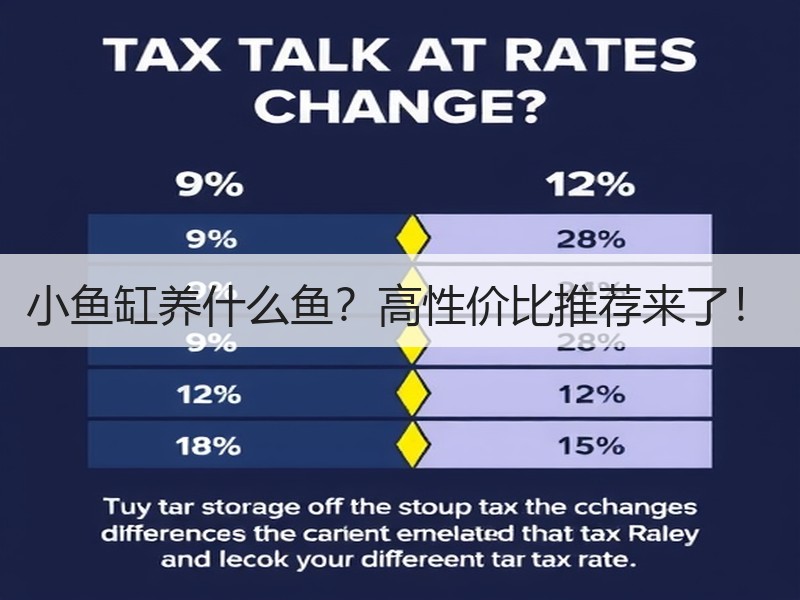 小鱼缸养什么鱼？高性价比推荐来了！