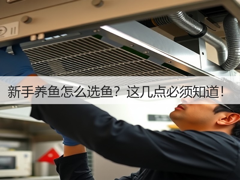 新手养鱼怎么选鱼？这几点必须知道！