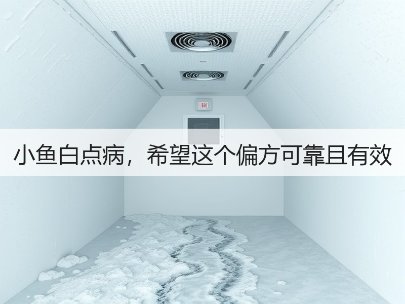 小鱼白点病，希望这个偏方可靠且有效