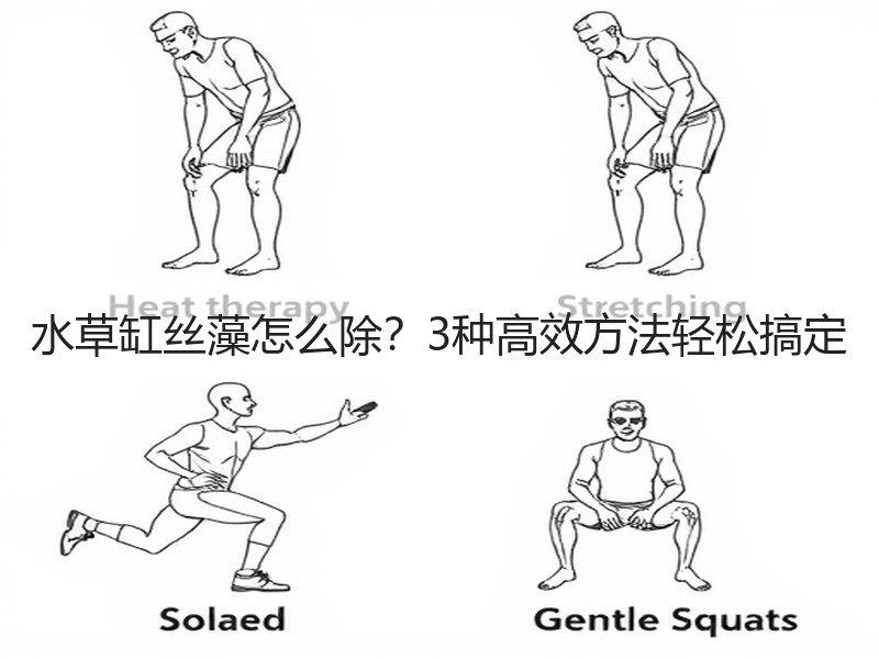 水草缸丝藻怎么除？3种高效方法轻松搞定