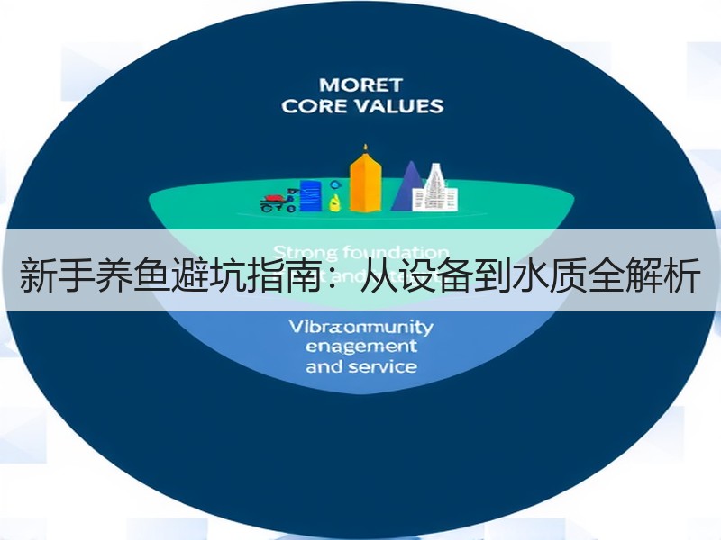 新手养鱼避坑指南：从设备到水质全解析