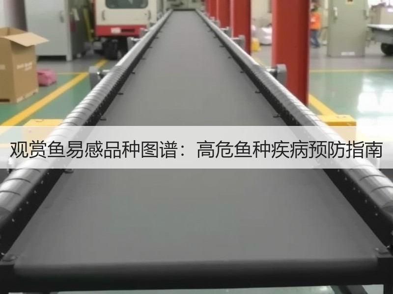 观赏鱼易感品种图谱：高危鱼种疾病预防指南