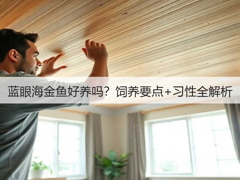 蓝眼海金鱼好养吗？饲养要点+习性全解析