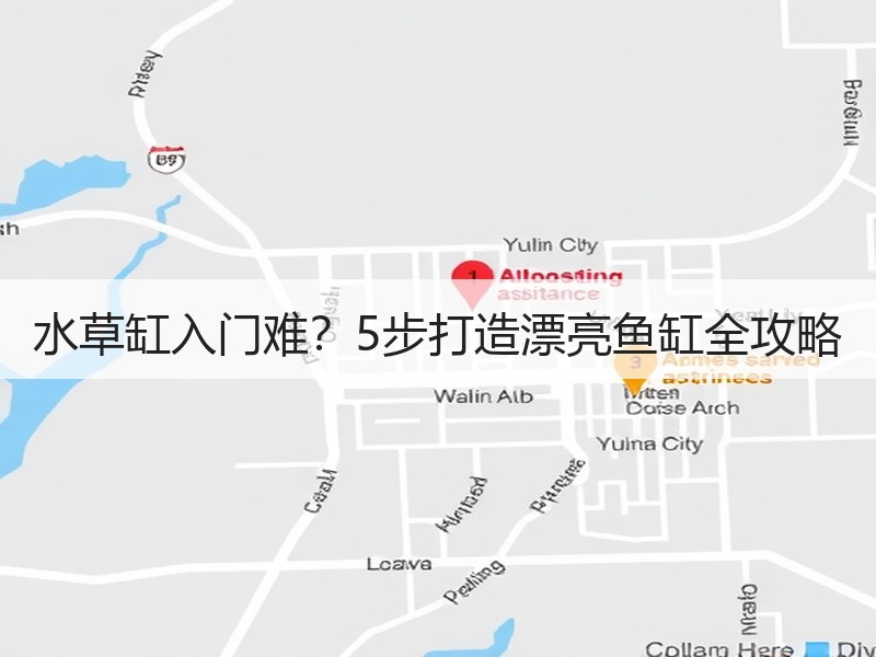 水草缸入门难？5步打造漂亮鱼缸全攻略