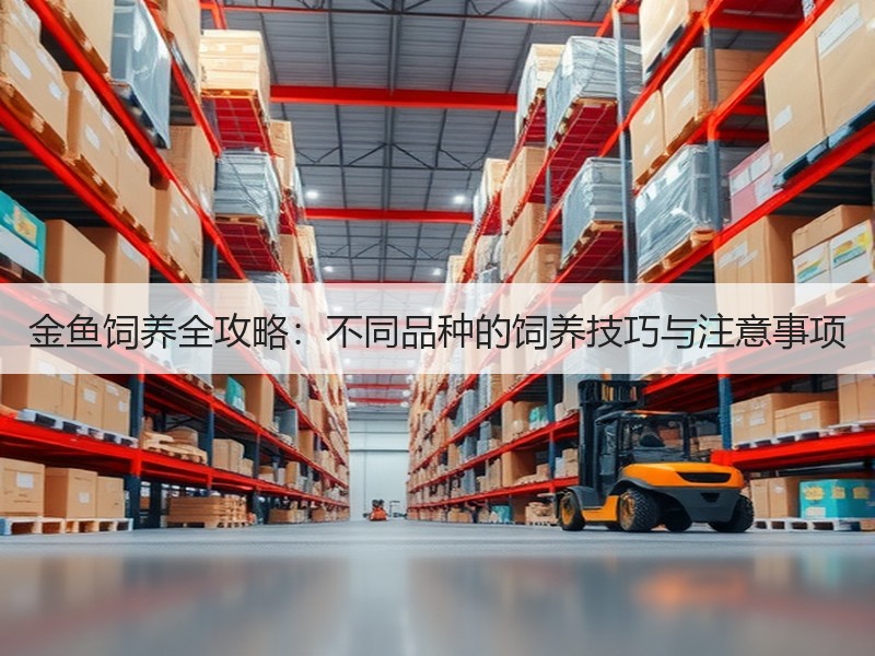 金鱼饲养全攻略：不同品种的饲养技巧与注意
