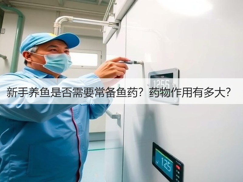 新手养鱼是否需要常备鱼药？药物作用有多大