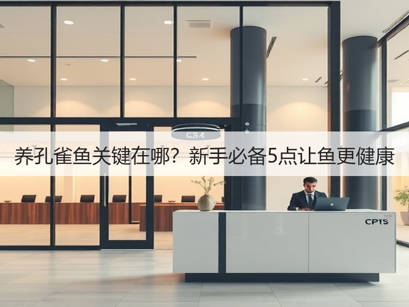 养孔雀鱼关键在哪？新手必备5点让鱼更健康