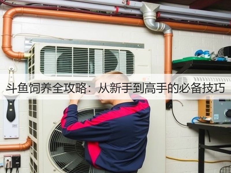斗鱼饲养全攻略：从新手到高手的必备技巧