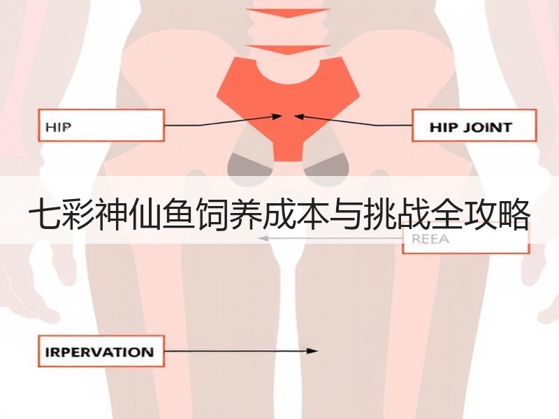 七彩神仙鱼饲养成本与挑战全攻略