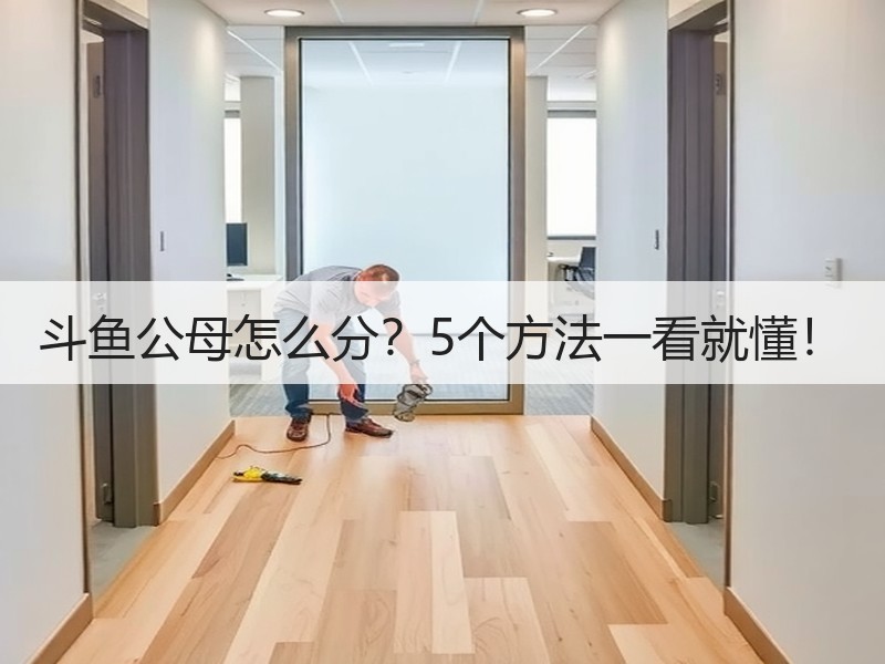 斗鱼公母怎么分？5个方法一看就懂！