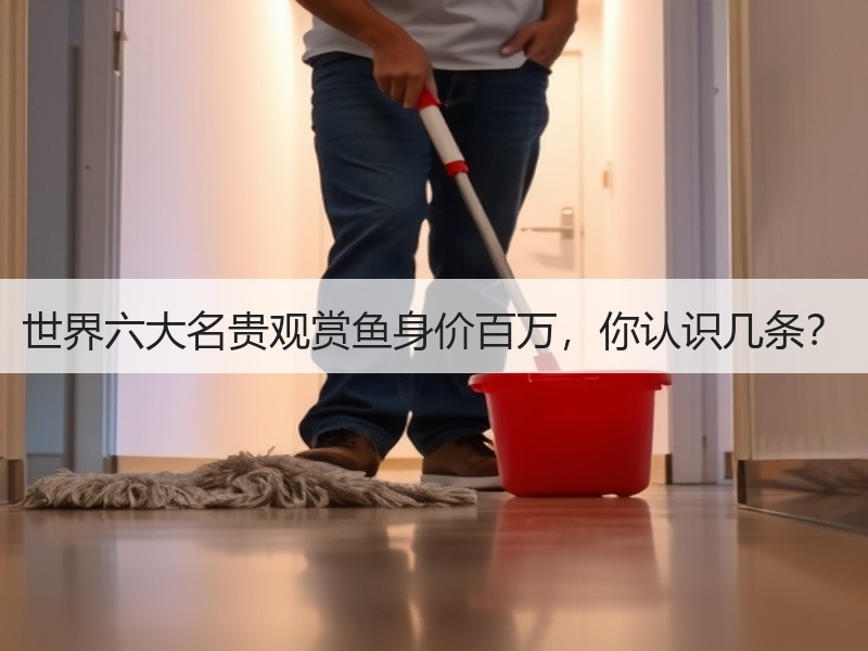 世界六大名贵观赏鱼身价百万，你认识几条？