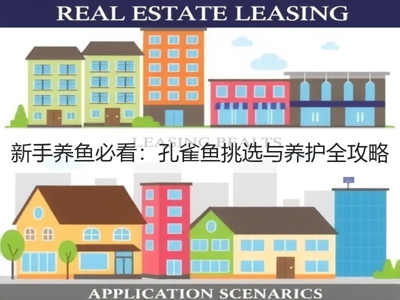 新手养鱼必看：孔雀鱼挑选与养护全攻略
