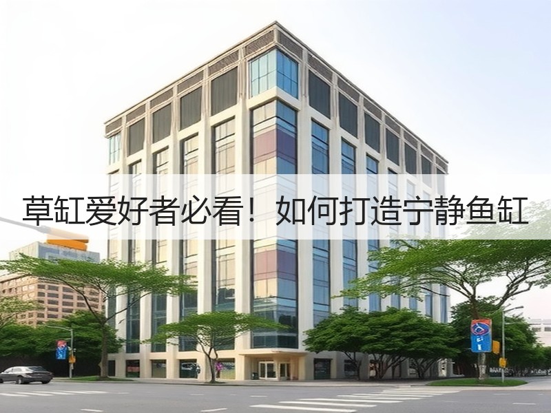 草缸爱好者必看！如何打造宁静鱼缸