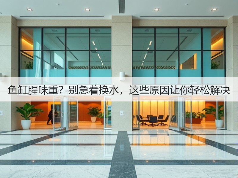 鱼缸腥味重？别急着换水，这些原因让你轻松