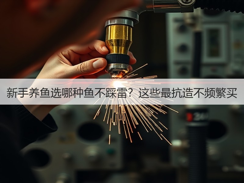 新手养鱼选哪种鱼不踩雷？这些最抗造不频繁
