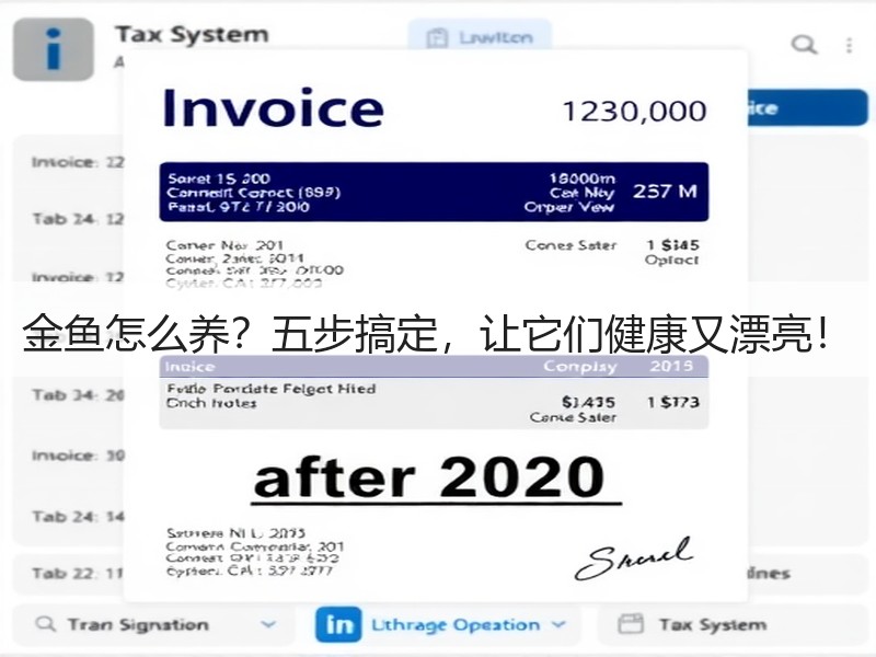 金鱼怎么养？五步搞定，让它们健康又漂亮！