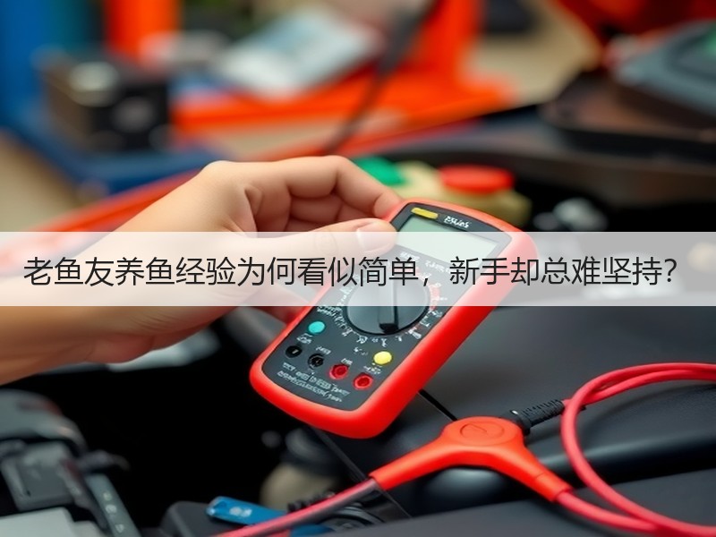 老鱼友养鱼经验为何看似简单，新手却总难坚