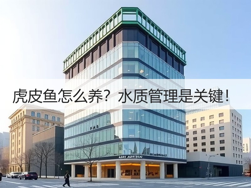 虎皮鱼怎么养？水质管理是关键！