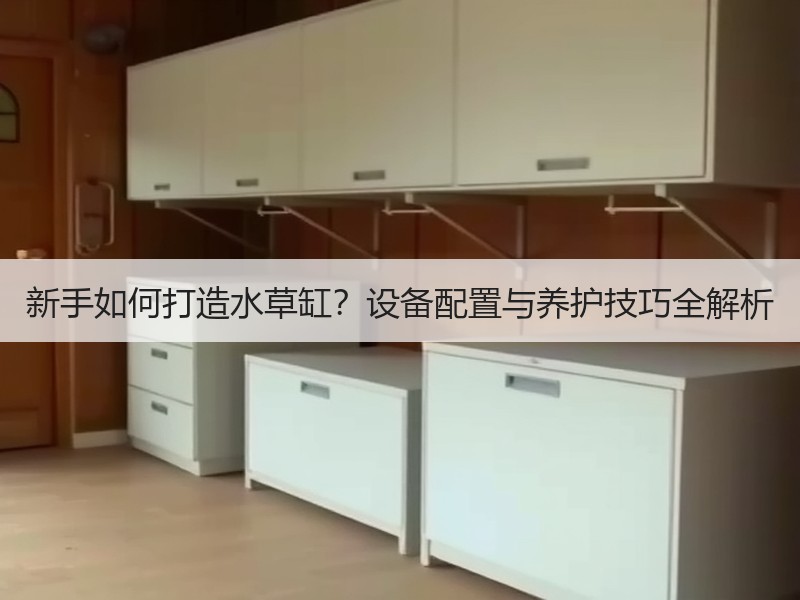 新手如何打造水草缸？设备配置与养护技巧全