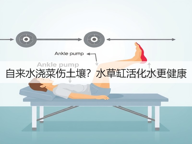自来水浇菜伤土壤？水草缸活化水更健康