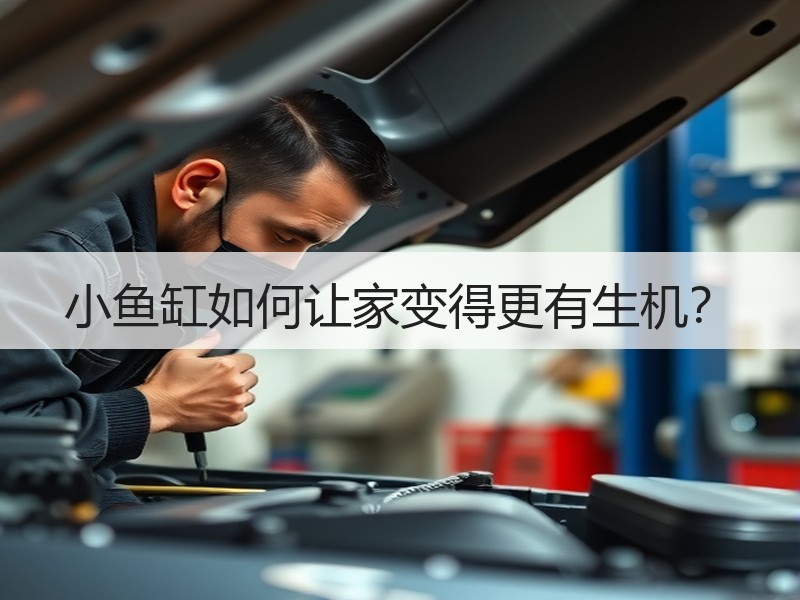 小鱼缸如何让家变得更有生机？