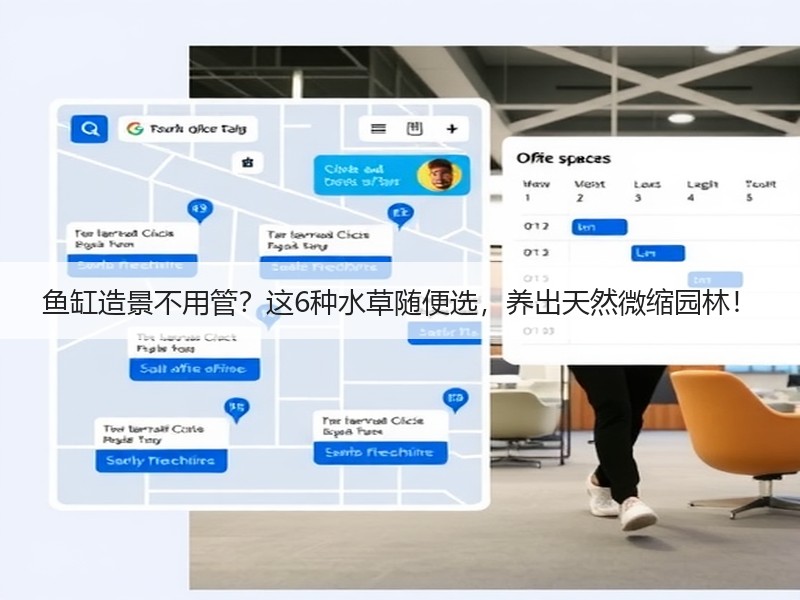 鱼缸造景不用管？这6种水草随便选，养出天