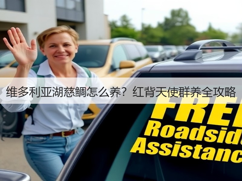 维多利亚湖慈鲷怎么养？红背天使群养全攻略