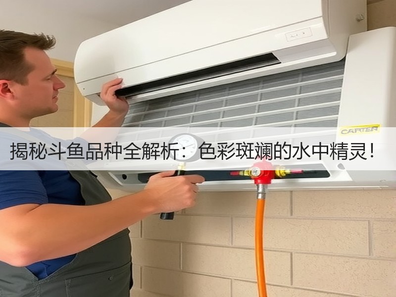 揭秘斗鱼品种全解析：色彩斑斓的水中精灵！