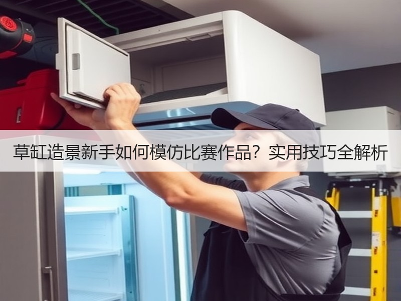 草缸造景新手如何模仿比赛作品？实用技巧全