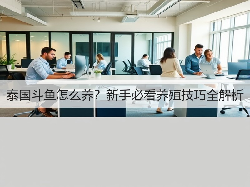 泰国斗鱼怎么养？新手必看养殖技巧全解析