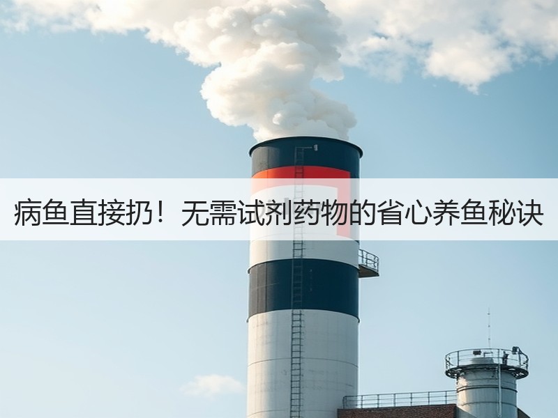 病鱼直接扔！无需试剂药物的省心养鱼秘诀