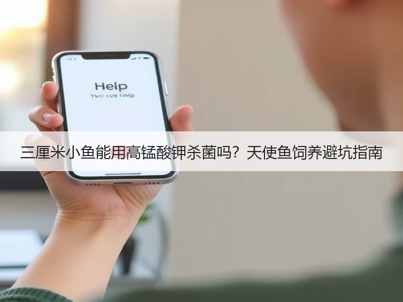 三厘米小鱼能用高锰酸钾杀菌吗？天使鱼饲养