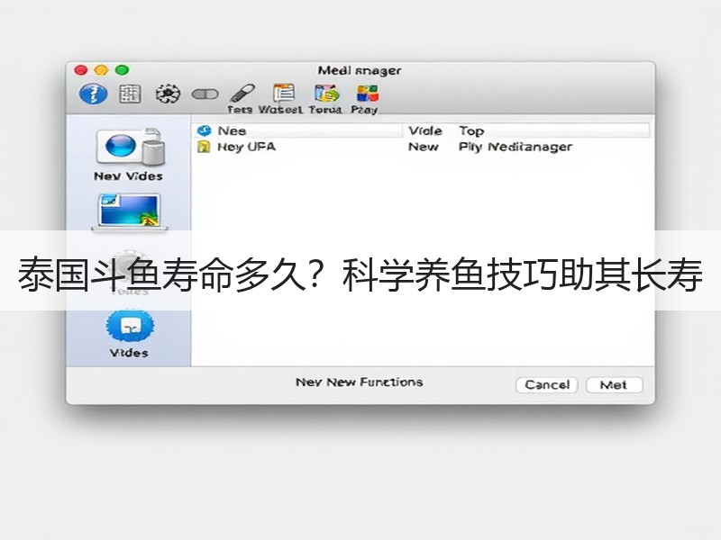 泰国斗鱼寿命多久？科学养鱼技巧助其长寿