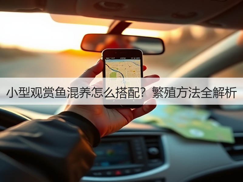 小型观赏鱼混养怎么搭配？繁殖方法全解析