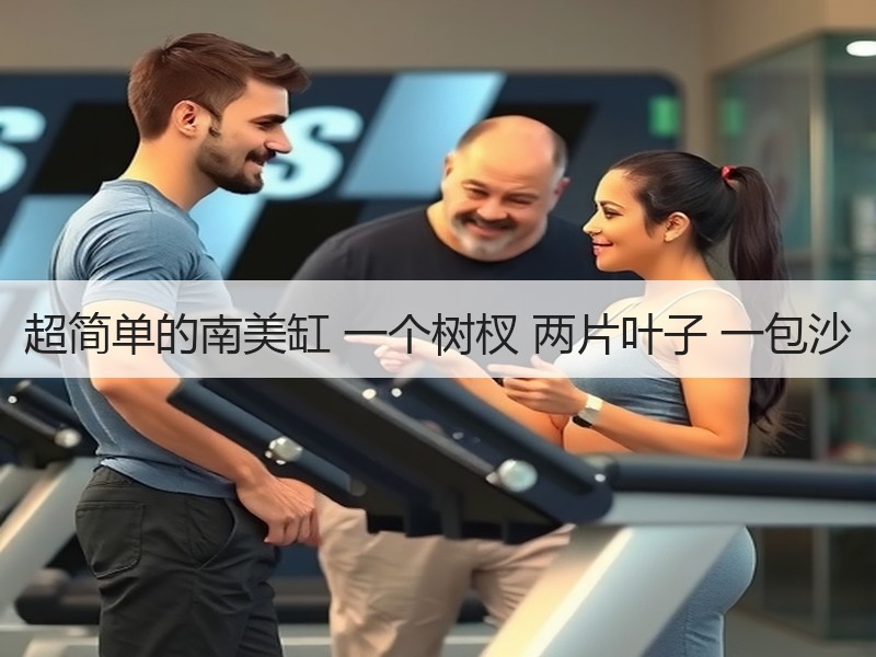 超简单的南美缸 一个树杈 两片叶子 一包