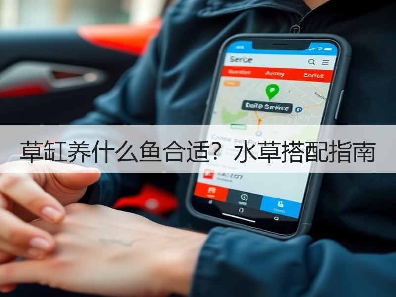 草缸养什么鱼合适？水草搭配指南