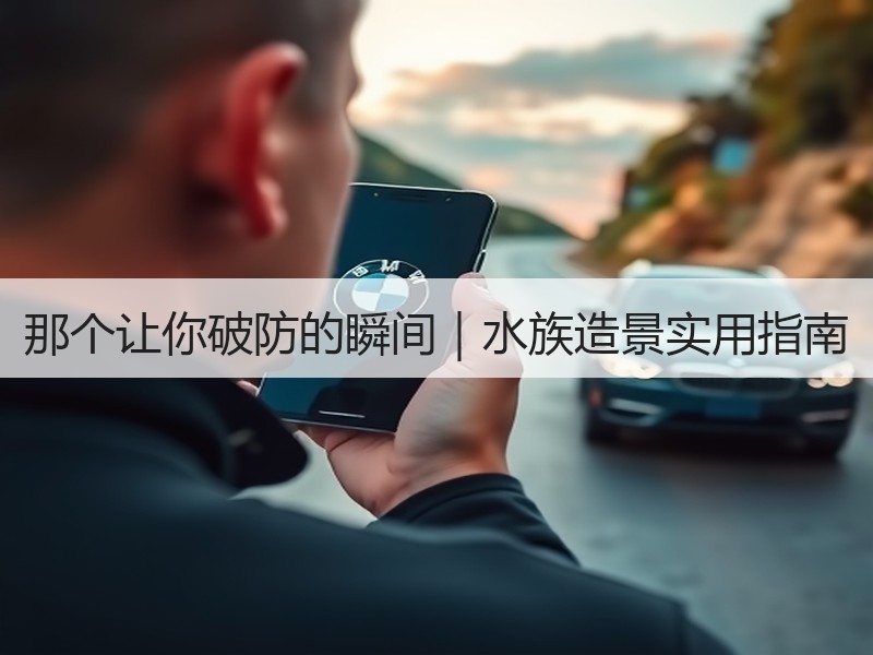 那个让你破防的瞬间｜水族造景实用指南