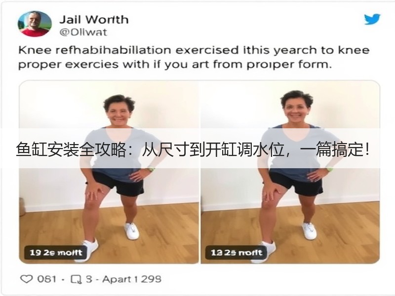 鱼缸安装全攻略：从尺寸到开缸调水位，一篇