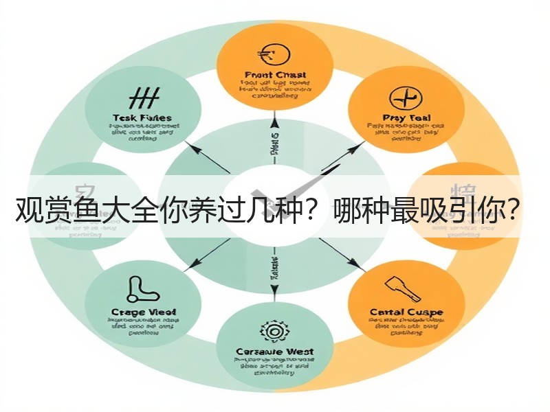 观赏鱼大全你养过几种？哪种最吸引你？