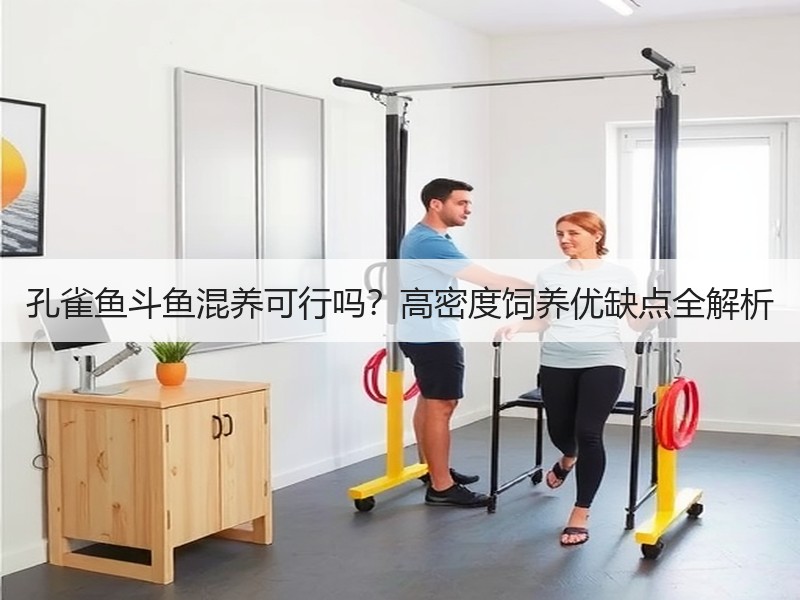 孔雀鱼斗鱼混养可行吗？高密度饲养优缺点全