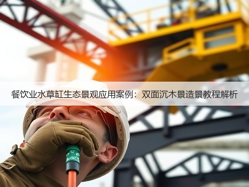 餐饮业水草缸生态景观应用案例：双面沉木景