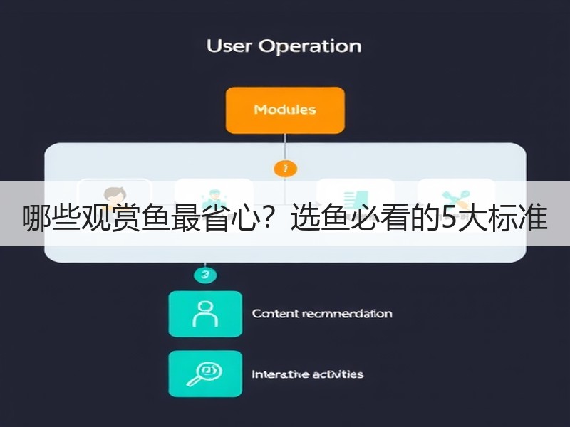 哪些观赏鱼最省心？选鱼必看的5大标准